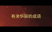 有关华丽的成语