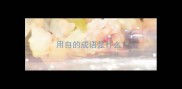 用自的成语是什么