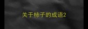 关于柿子的成语