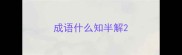 成语什么知半解