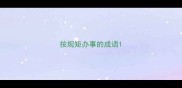 按规矩办事的成语