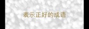 表示正好的成语