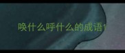 唤什么呼什么的成语