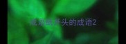 成语纸开头的成语