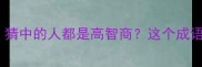 三独打一成语猜中的人都是高智商这个成语背后的冷知识
