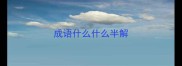 成语什么什么半解