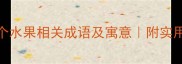 必知的10个水果相关成语及寓意附实用应用场景