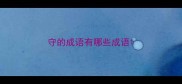 守的成语有哪些成语