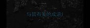 与鼠有关的成语