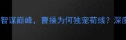 荀彧的运筹帷幄三国智谋巅峰曹操为何独宠荀彧深度历史典故与职场启示