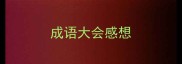 成语大会感想