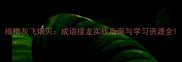 樯橹灰飞烟灭成语接龙实战指南与学习资源全