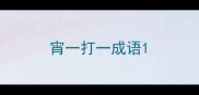 宵一打一成语