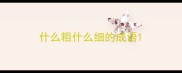 什么粗什么细的成语