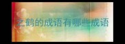 之鹤的成语有哪些成语