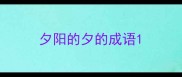 夕阳的夕的成语