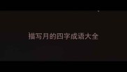 描写月的四字成语大全