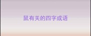 鼠有关的四字成语