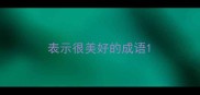 表示很美好的成语