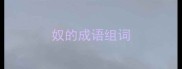 奴的成语组词