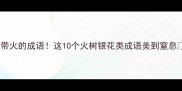 带火的成语这10个火树银花类成语美到窒息