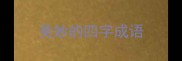 美妙的四字成语