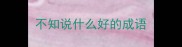 不知说什么好的成语