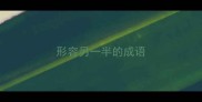 形容另一半的成语