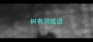 树有洞成语