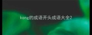 kong的成语开头成语大全