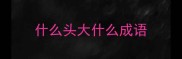 什么头大什么成语