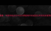 朝朝暮暮中国传统文化中白天黑夜相守的成语及其背后的爱情故事