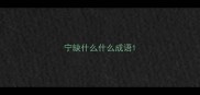 宁缺什么什么成语