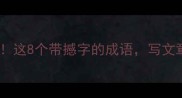 撼动根基必学这8个带撼字的成语写文章秒变大神
