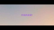许组的成语
