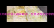 50个与熊相关的成语及趣味解读全面动物文化中的智慧传承