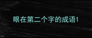 眼在第二个字的成语