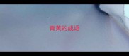 青黄的成语