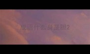 成语什么身是胆