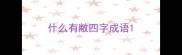 什么有敝四字成语