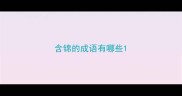 含锦的成语有哪些