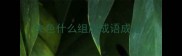 失色什么组成成语成语