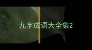 九字成语大全集
