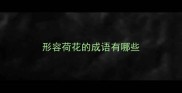 形容荷花的成语有哪些