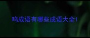 呜成语有哪些成语大全
