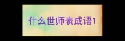 什么世师表成语