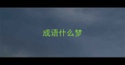 成语什么梦