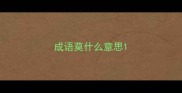 成语莫什么意思